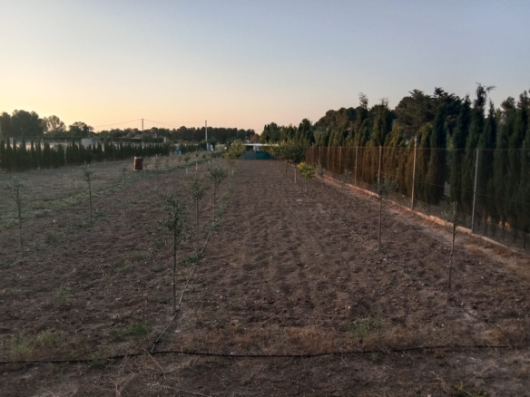Terreno en venta en Barrios periféricos – Pedanías