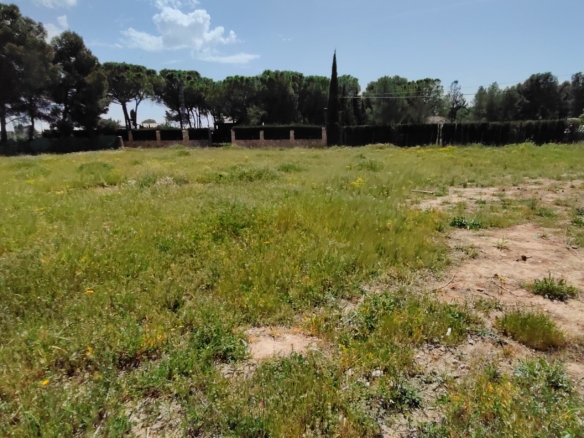 GRACIANO INMOBILIARIA vende magnífico terreno de 2.000 m² en la Urbanización Colonia Las Rosas, en Carretera de Jaén.
