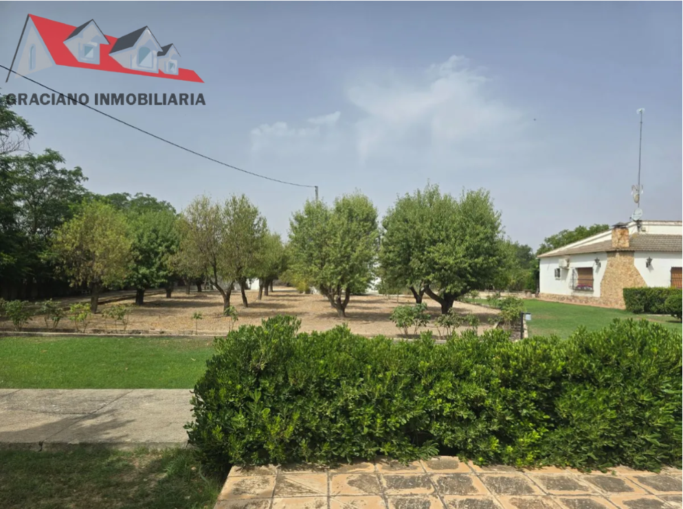 Se vende espectacular finca a solo 10 minutos de Albacete