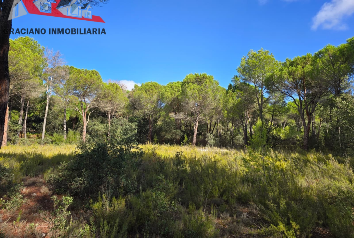Se vende espectacular terreno urbano en Urbanización Pinares del Jucar