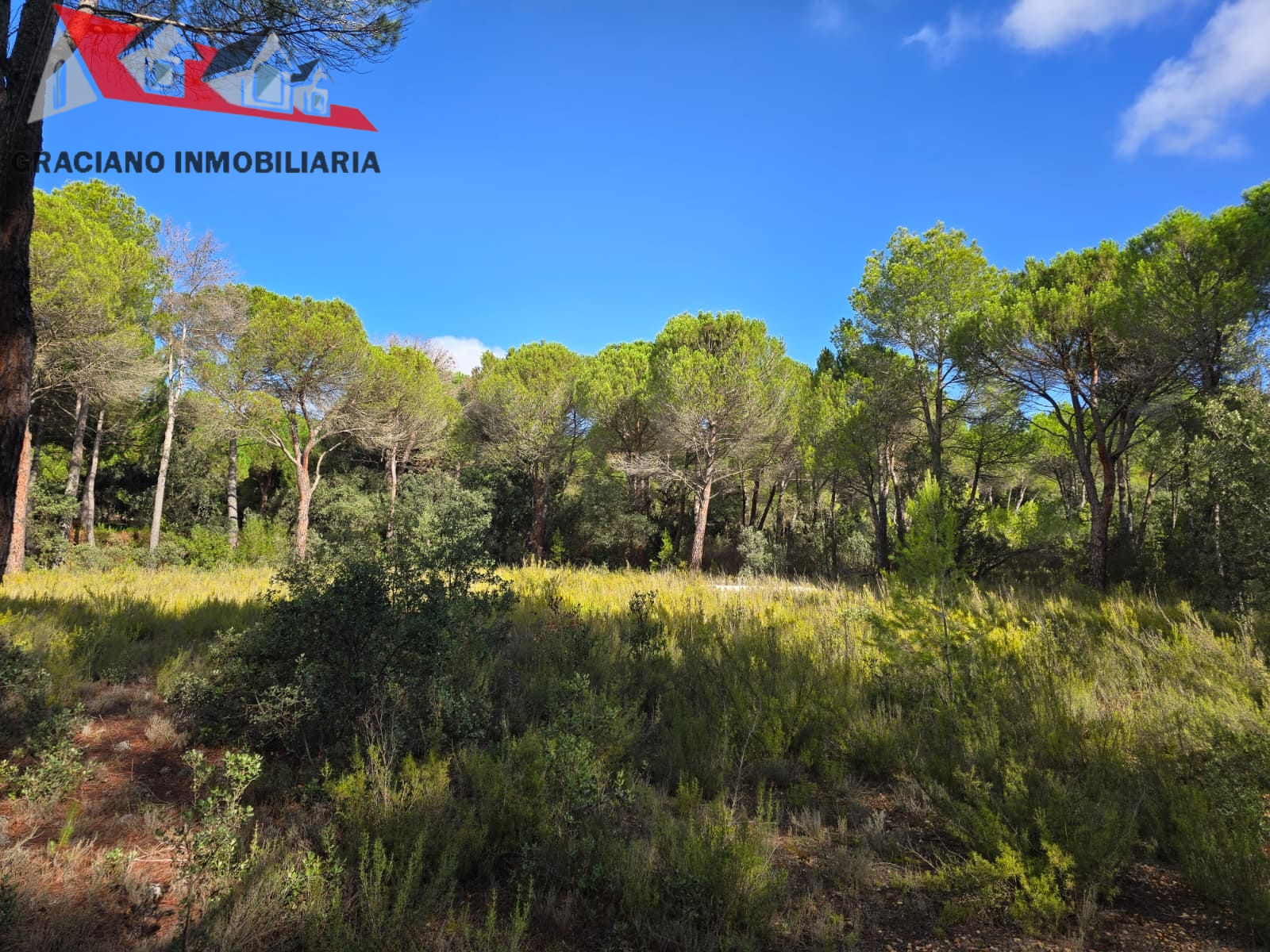 2 Se vende espectacular terreno urbano en Urbanización Pinares del Jucar