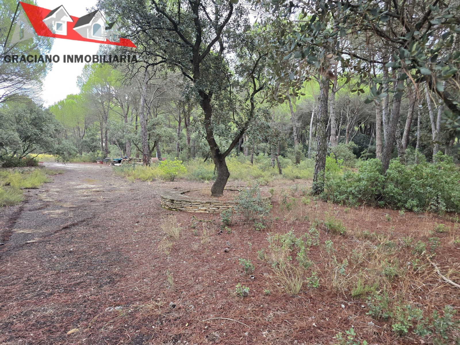 3 Se vende espectacular terreno urbano en Urbanización Pinares del Jucar