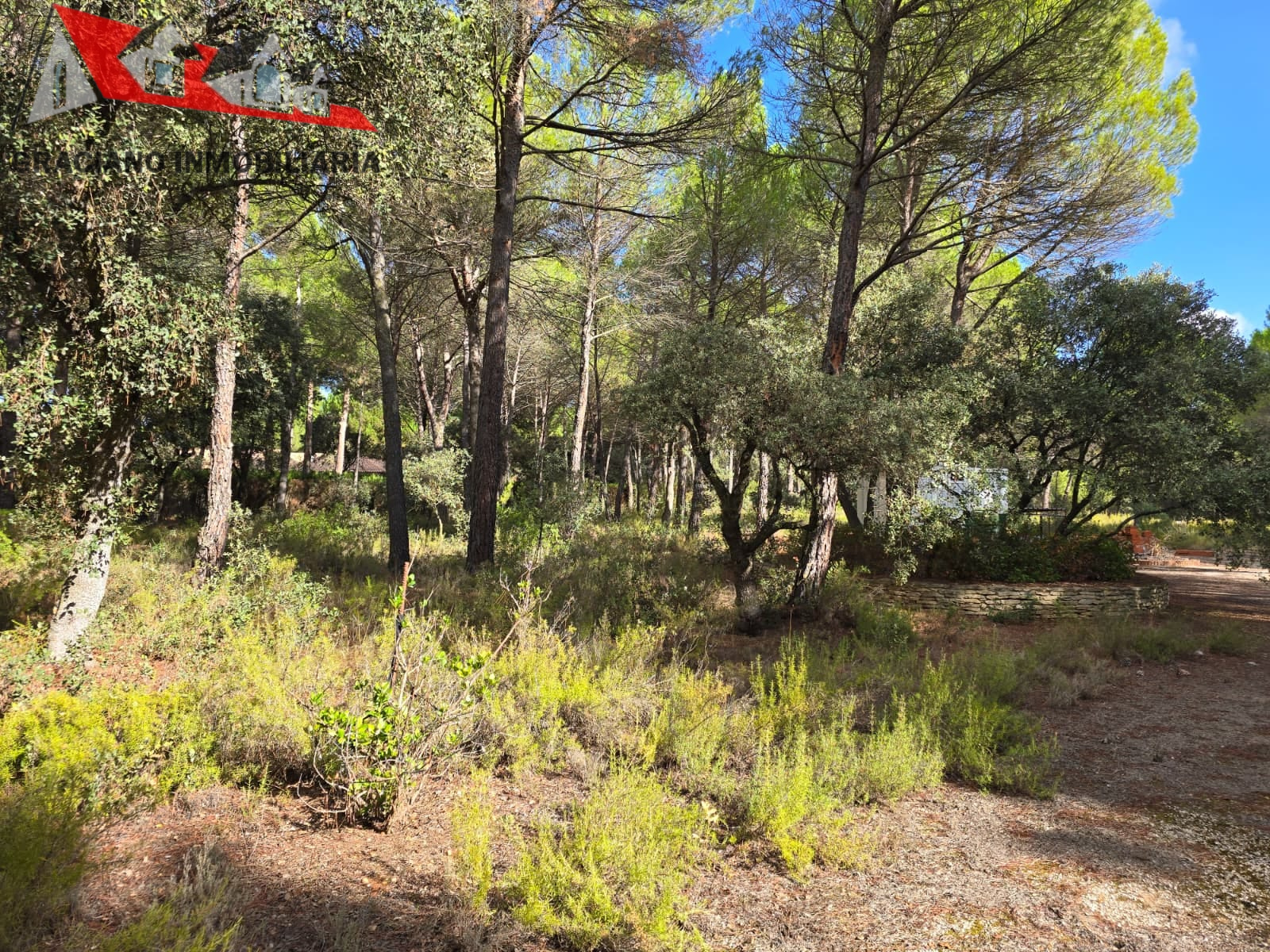4 Se vende espectacular terreno urbano en Urbanización Pinares del Jucar