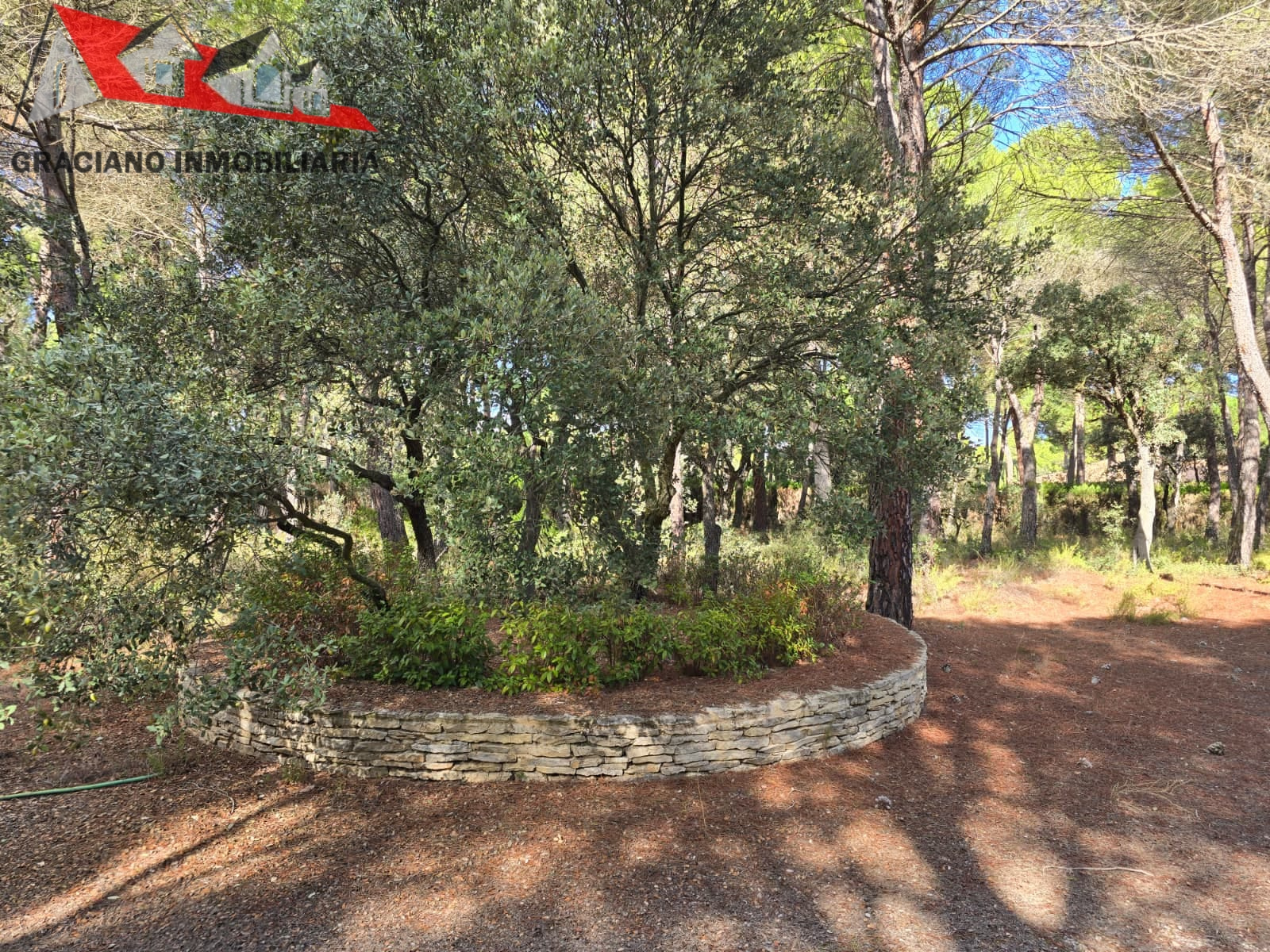 5 Se vende espectacular terreno urbano en Urbanización Pinares del Jucar