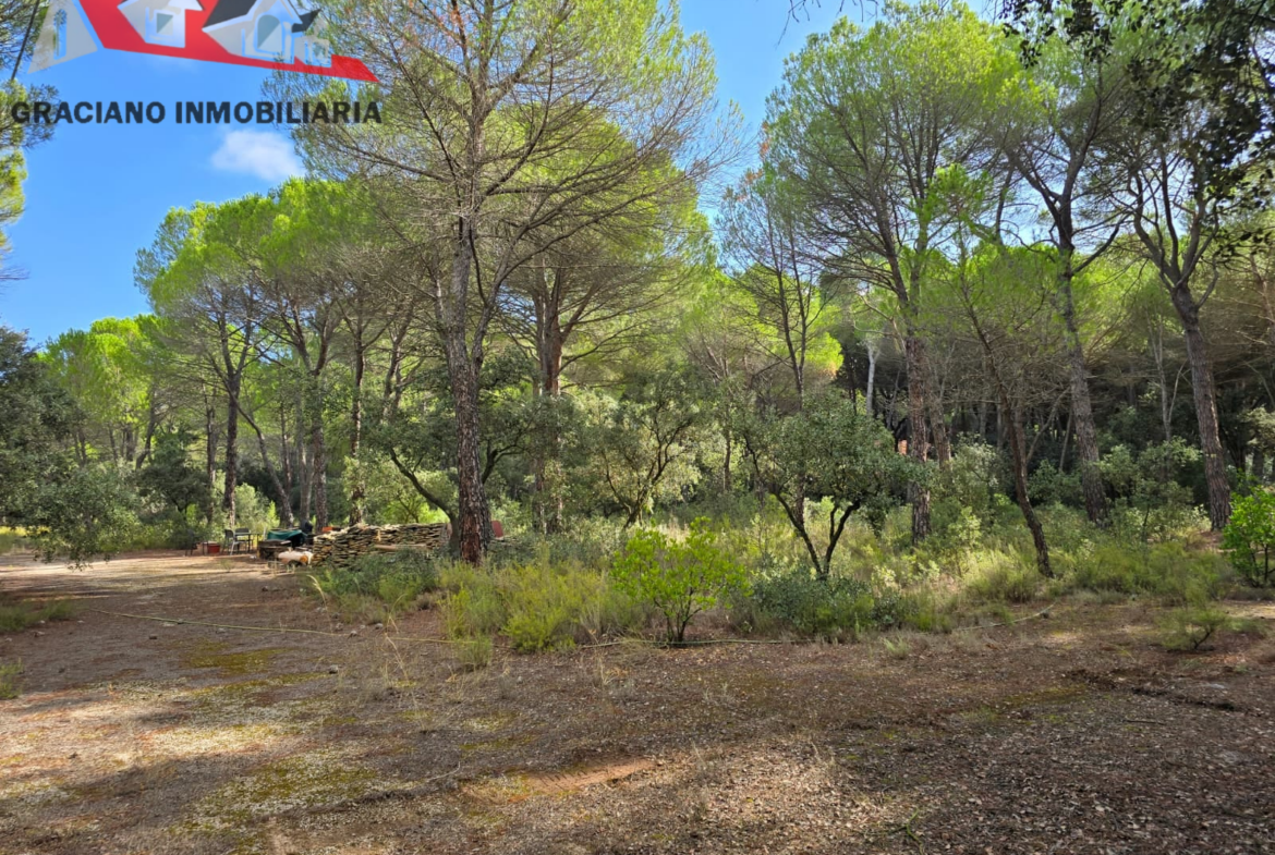 Se vende espectacular terreno urbano en Urbanización Pinares del Jucar