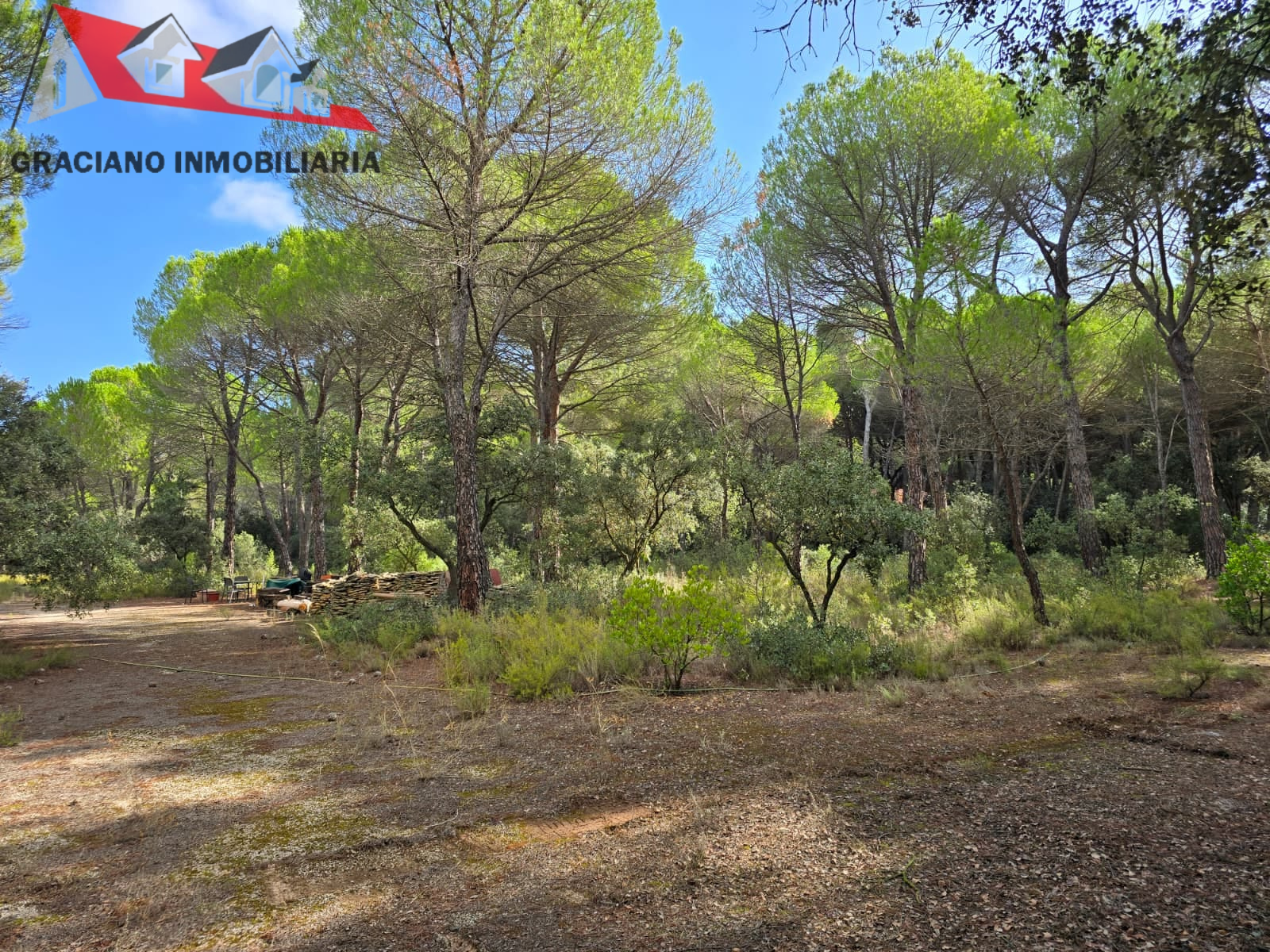 6 Se vende espectacular terreno urbano en Urbanización Pinares del Jucar