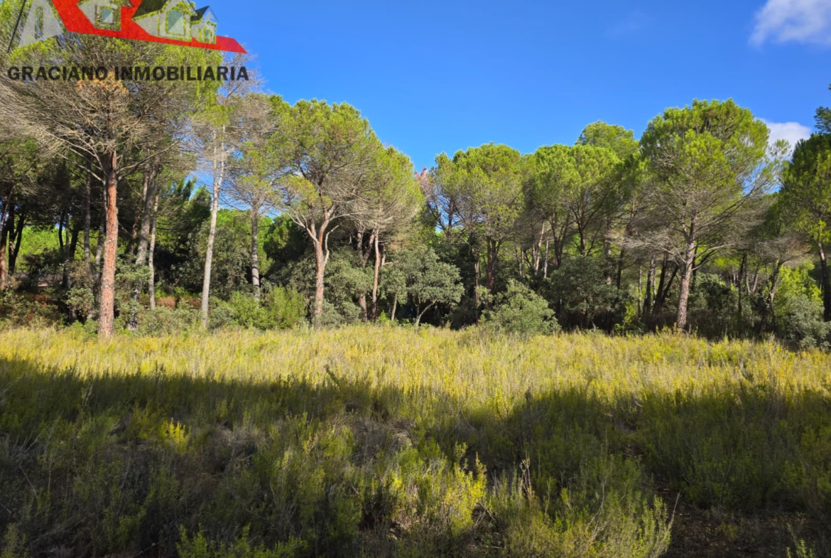 Se vende espectacular terreno urbano en Urbanización Pinares del Jucar