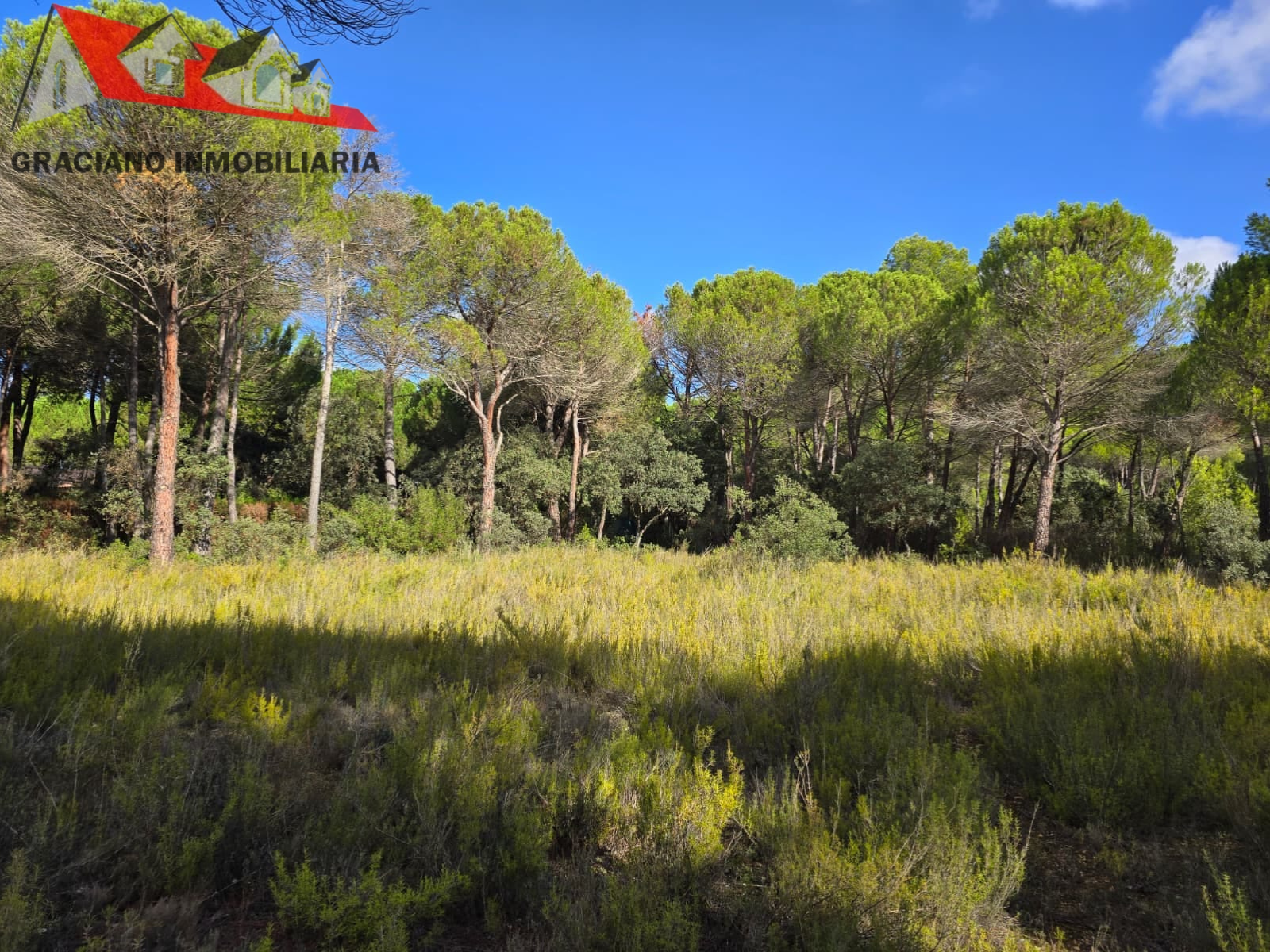 7 Se vende espectacular terreno urbano en Urbanización Pinares del Jucar
