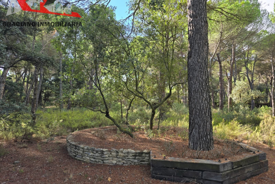 Se vende espectacular terreno urbano en Urbanización Pinares del Jucar