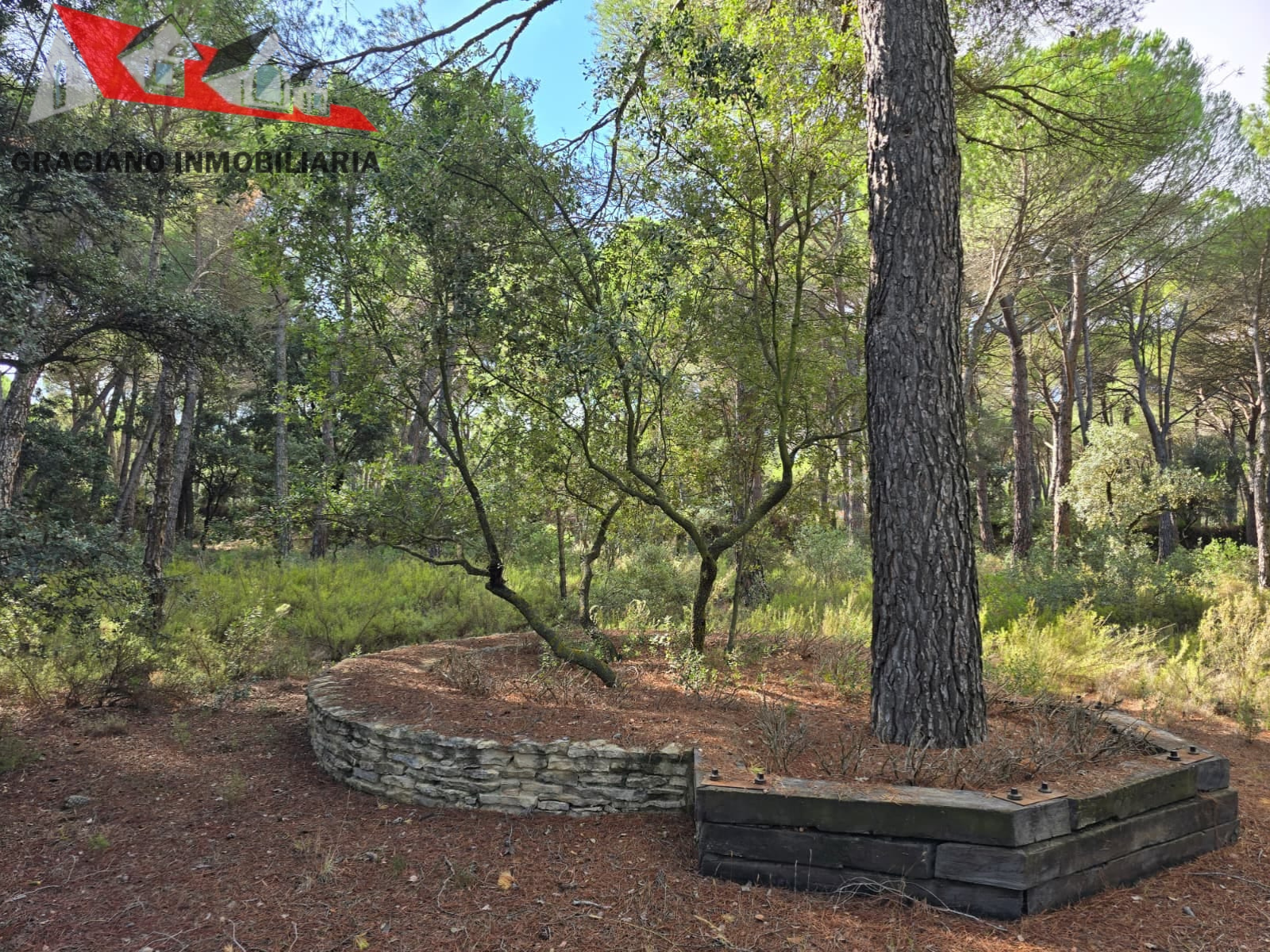 8 Se vende espectacular terreno urbano en Urbanización Pinares del Jucar