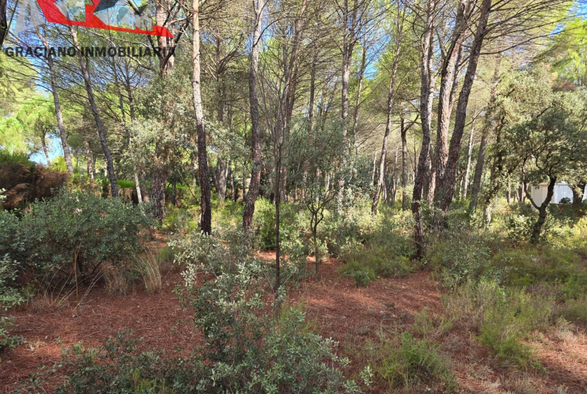 Se vende espectacular terreno urbano en Urbanización Pinares del Jucar