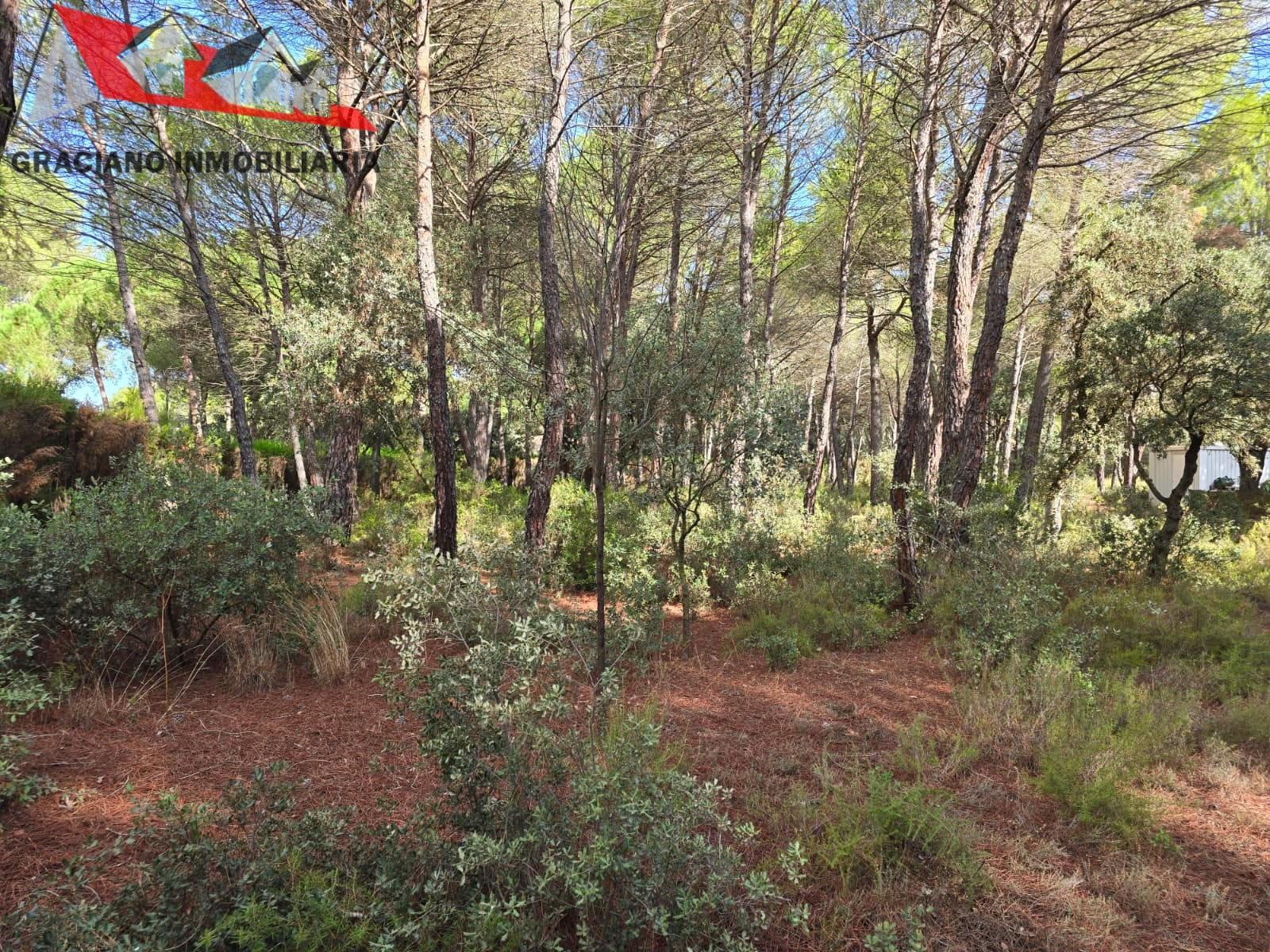 9 Se vende espectacular terreno urbano en Urbanización Pinares del Jucar